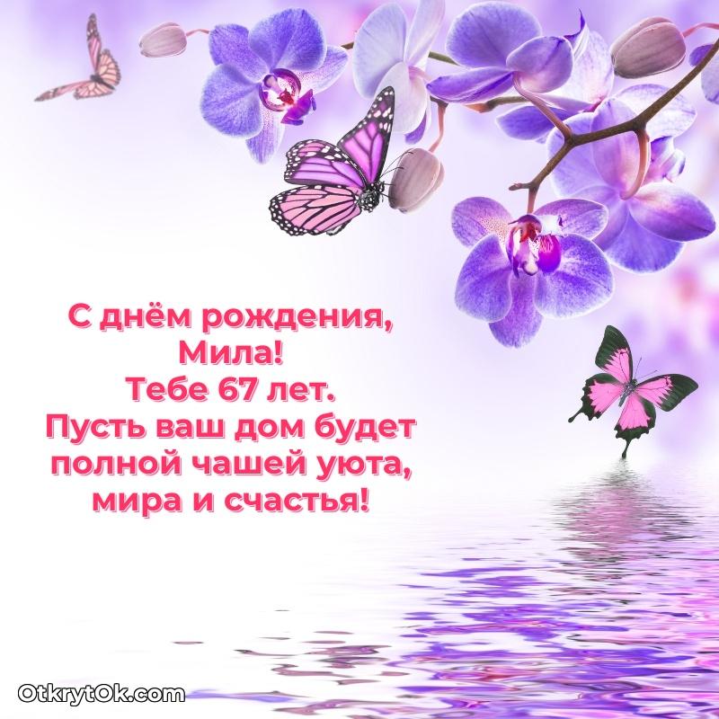 Открытка с Днем Рождения Миле 67 лет