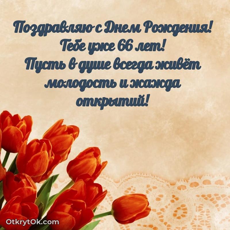 Прикольные картинки и поздравления близкому человеку 66 лет