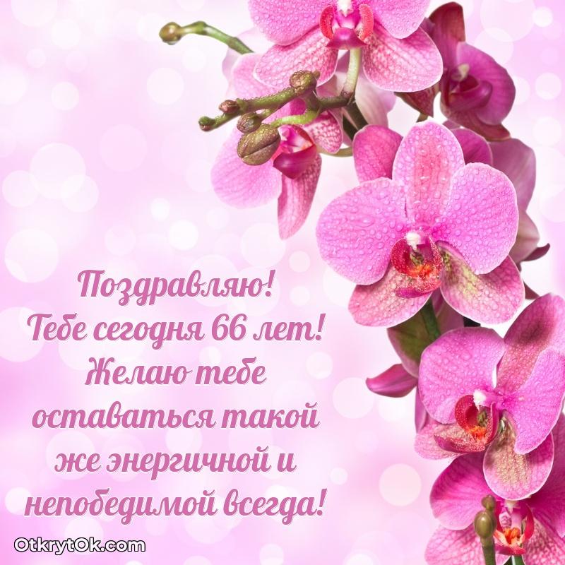 Красивые современные открытки подруге 66 лет для ватсапа — открытка Варваре