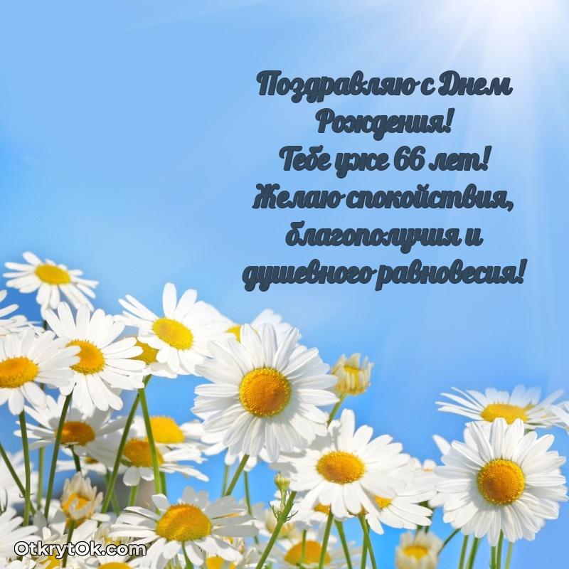 Мерцающие прикольные открытки мужу 66 лет