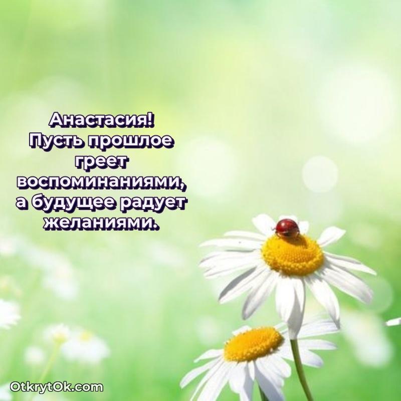 Поздравить сестру с др Анастасии