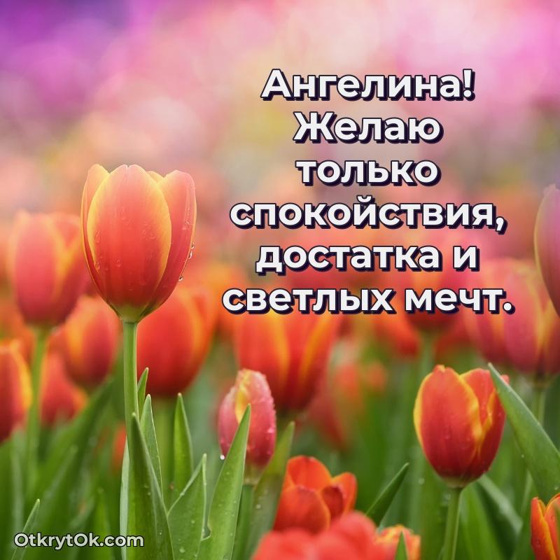 Поздравление Ангелине праздничные своими словами в прозе поздравляемому