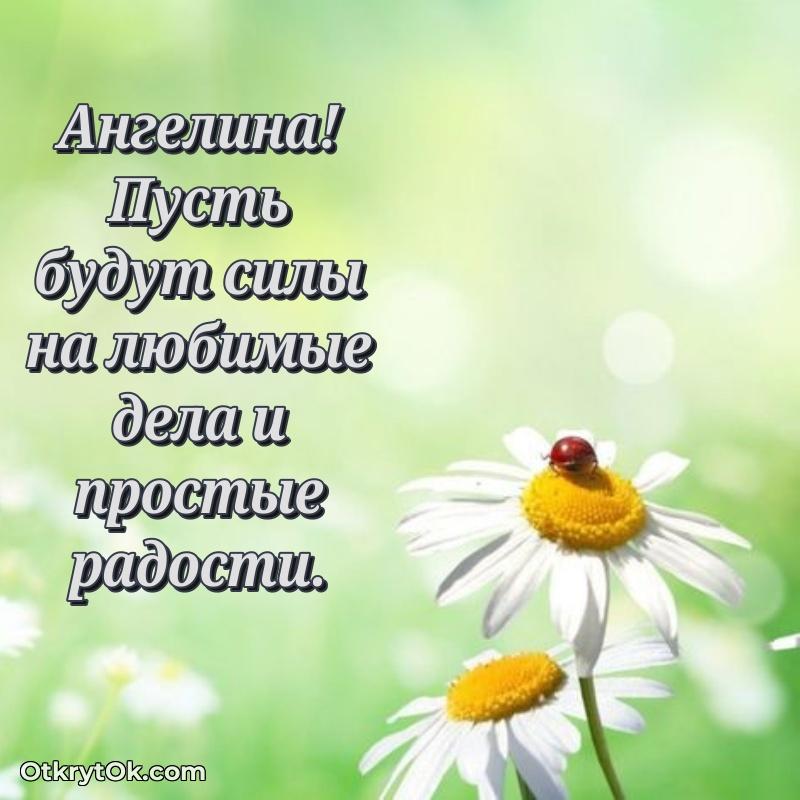 Тёплые слова Ангелине