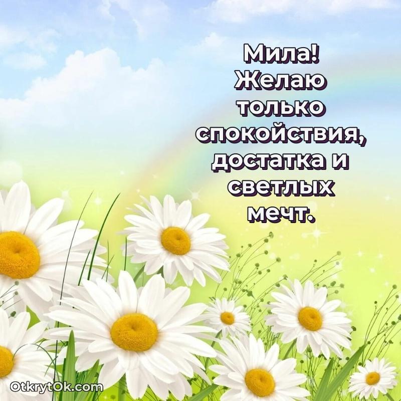 Поздравление с днем рождения женщине в стихах