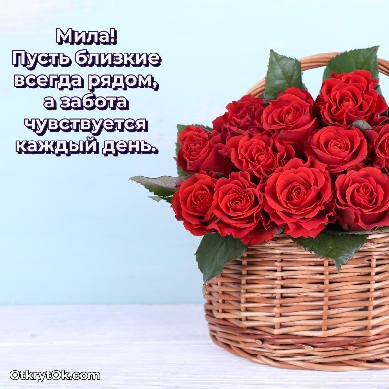 Поздравить сестру с др Миле