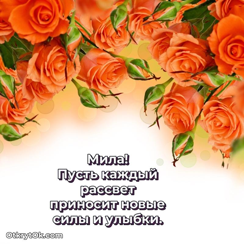 Идеи поздравлений Миле 67 лет