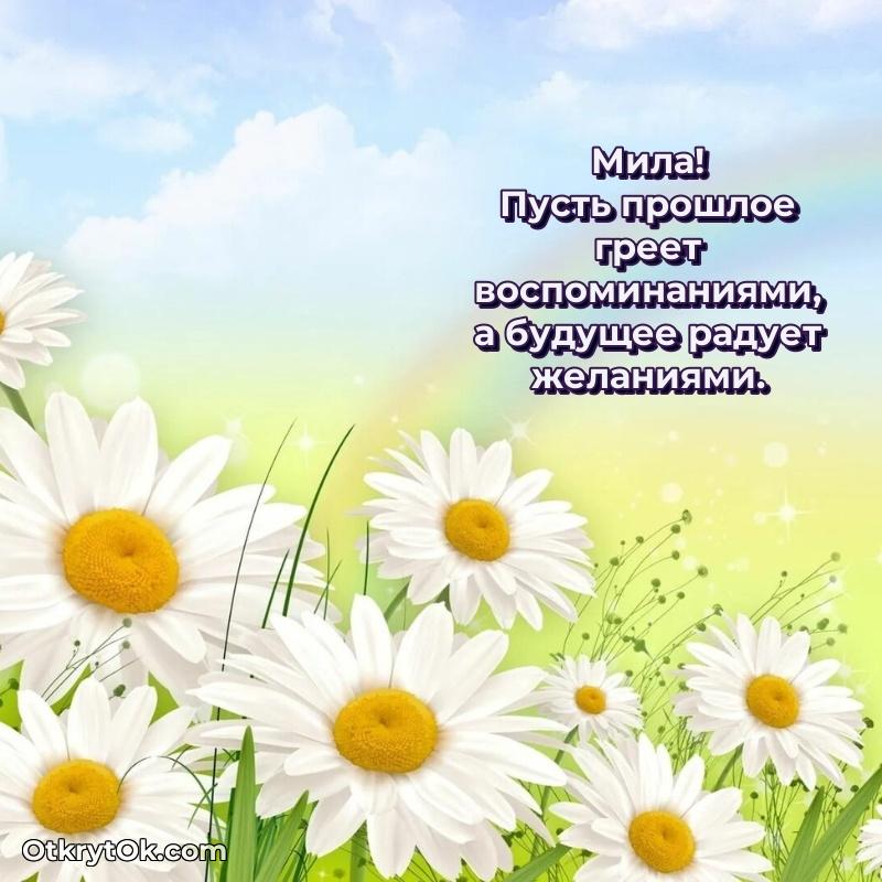 Открытка с надписью и рисунком