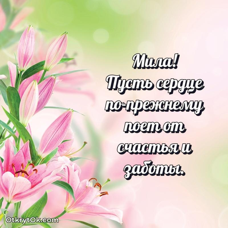поздравляемому — открытка и пожелание