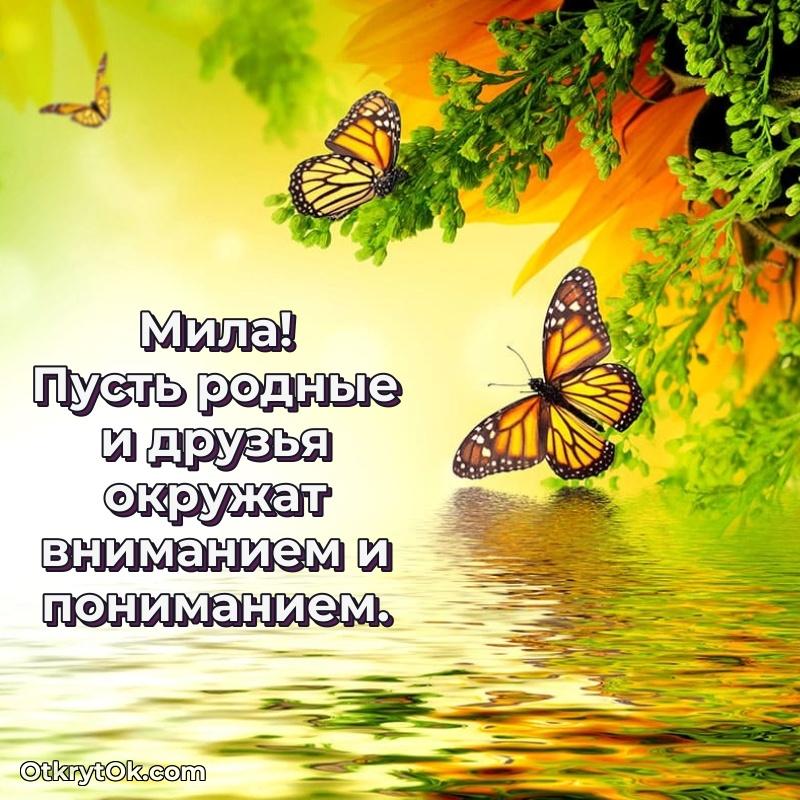 Рисунок и пожелание Миле 67 лет