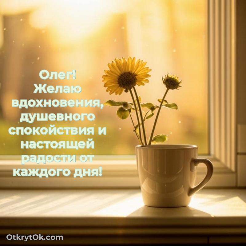 Мини — открытка человеку