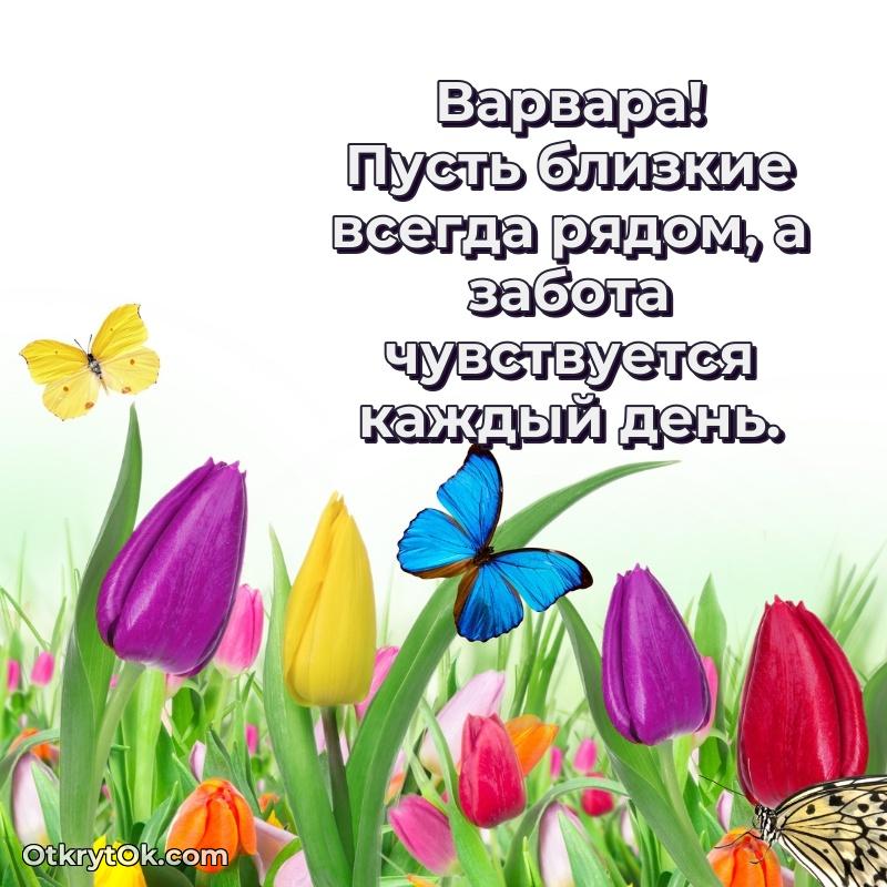 Поздравление с днем рождения женщине в стихах