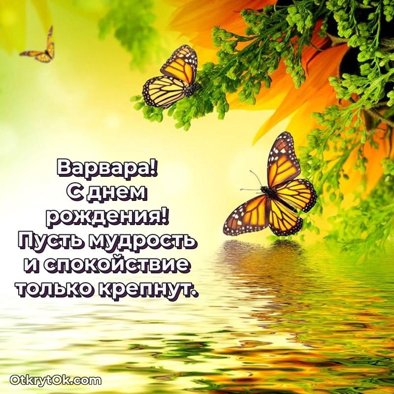 Пожелание Варваре открытка на 66 лет