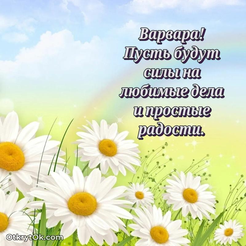 Яркая гифка Варваре с днем рождения