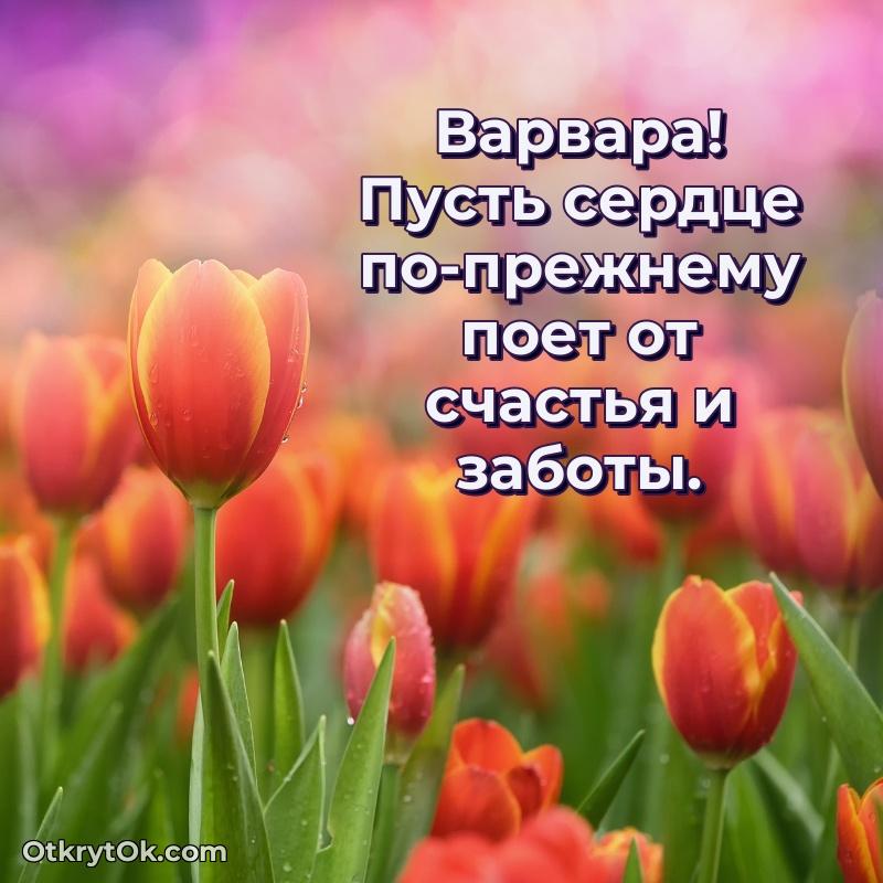 Открытка Открытка для ватсап с днем рождения Варваре Варвара