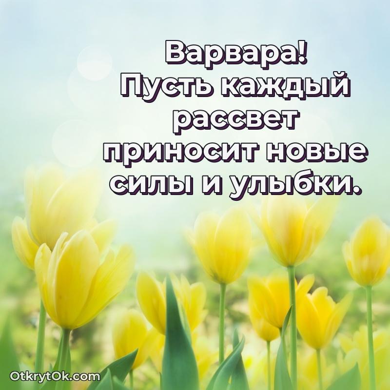 Красочная поздравительная открытка