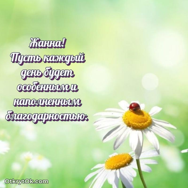 Красивая открытка — поздравление Жанне
