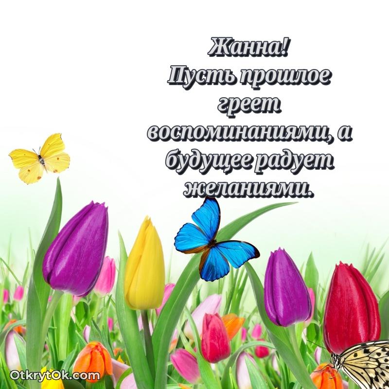 Яркая гифка Жанне с днем рождения